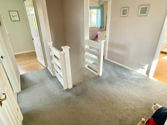 Photo 11