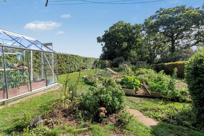 veggie patch
