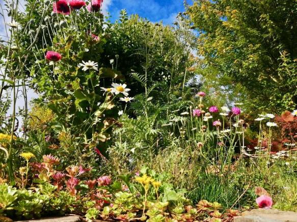 Summer gardens to enjoy