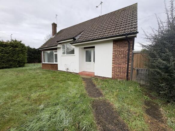 2  Medium  T202602241549.jpg