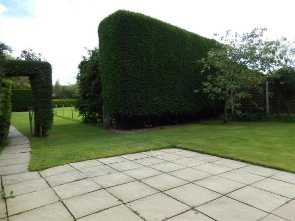 Photo 15