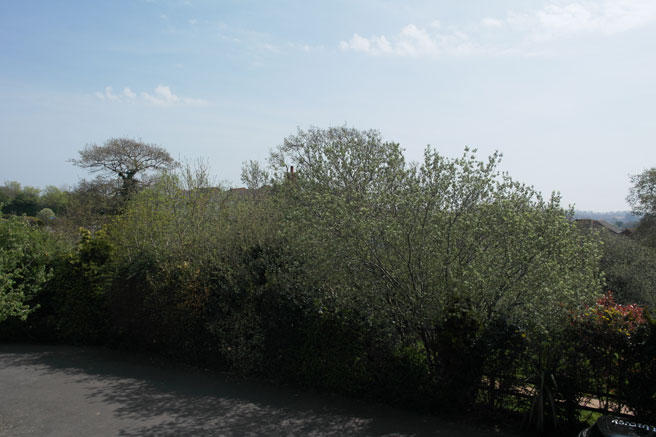 Photo 24
