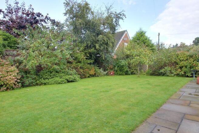 Garden at Back