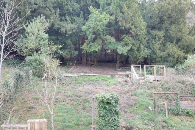 Rear Garden from Window