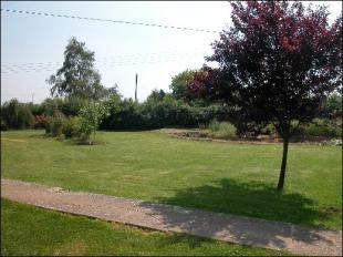 SIDE GARDEN