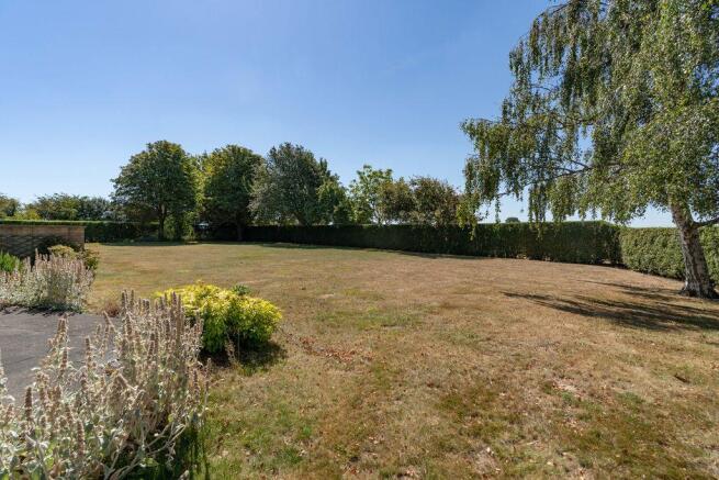 Garden at Back