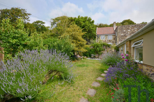 garden.JPG