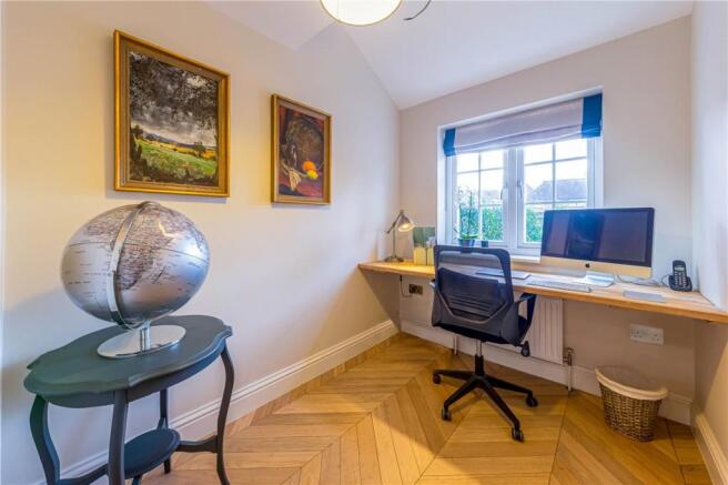 Study Area