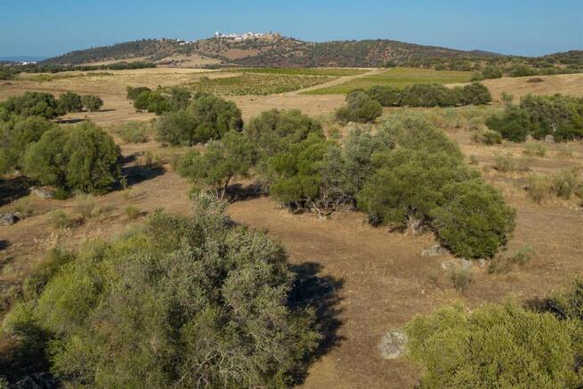 Plot of Land, Barrocal, Monsaraz, Évora, Alentejo