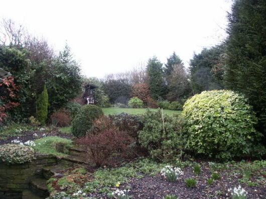Photo 9