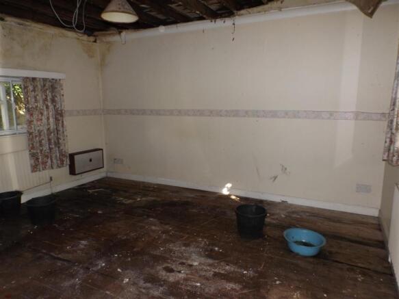 DSCF4514.jpg