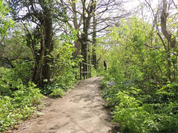 Surrounding Area / Walks