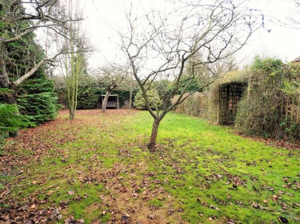 Rear Garden 369