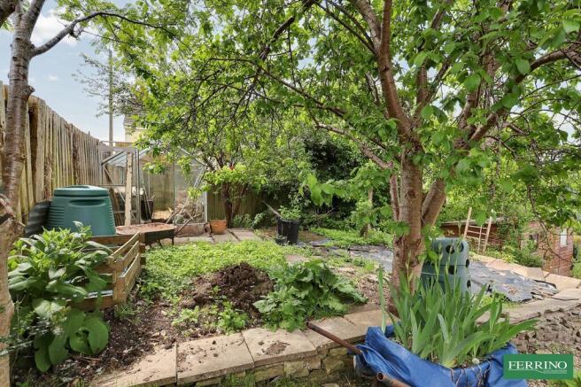 Vegetable Garden