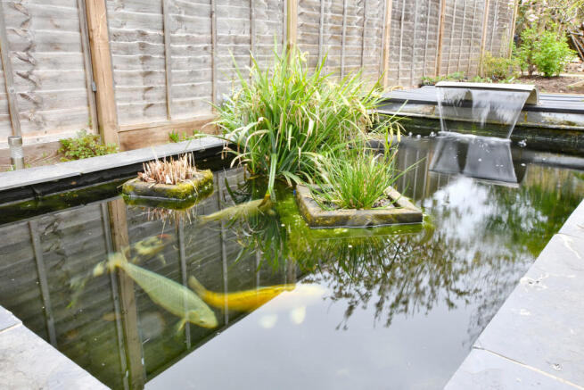 Garden - Pond