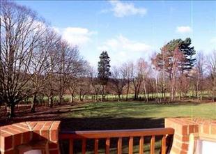 Garden 1