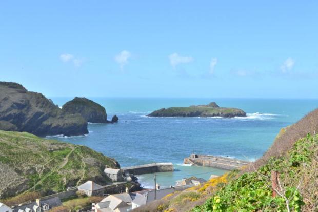Cove Nearby
