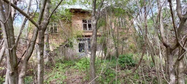 View of the two-storey brick house partially obscured by trees and bushes in spring