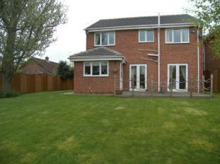 Rear Elevation
