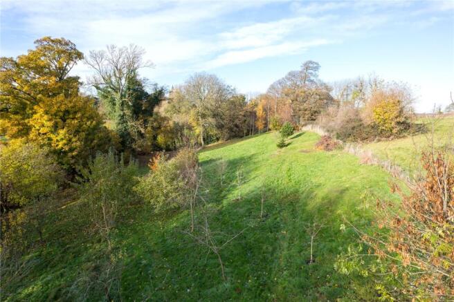 Orchard & Paddock
