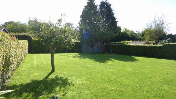Garden 1