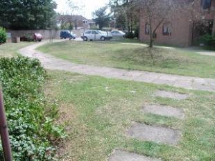 Communal Garden