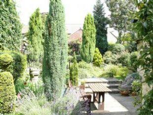 Garden 3