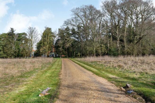 Driveway