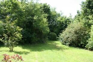 Garden 1