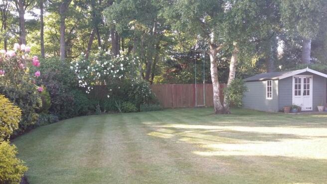 Photo 22