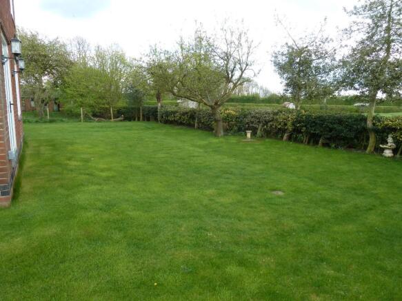 Rear garden