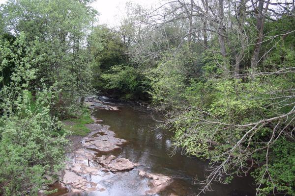 Photo 13