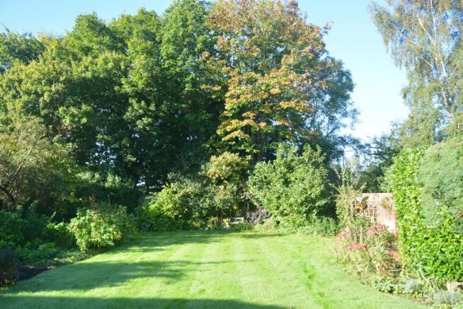 Rear garden