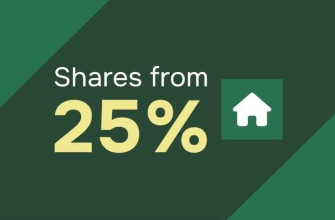 Shares