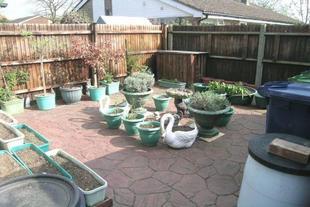 Photo 4