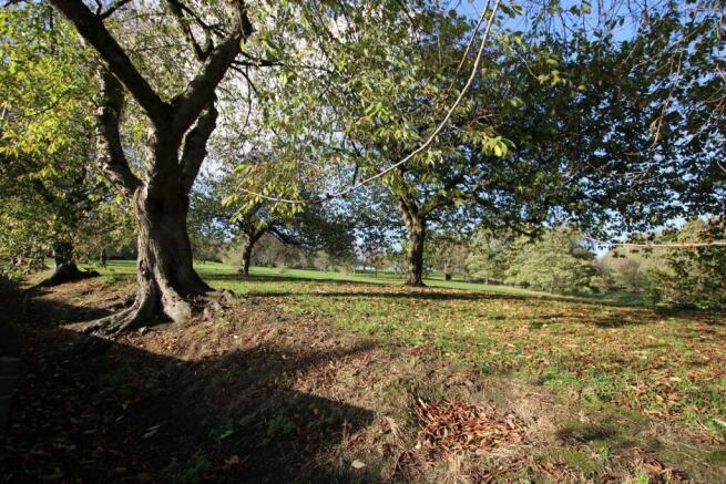 Adjacent Parkland: