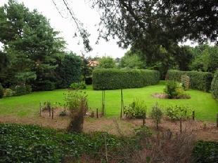 Rear gardens