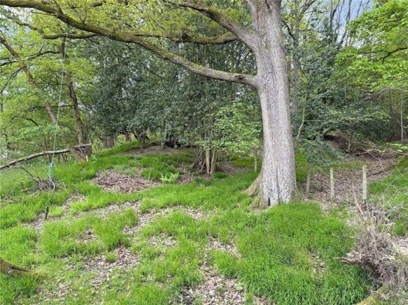Woodland