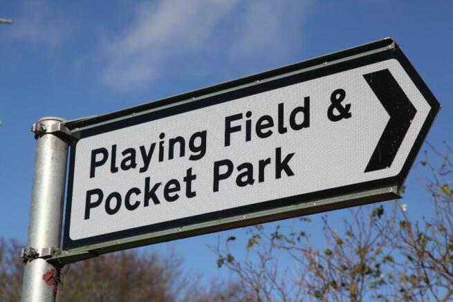 Pocket Park