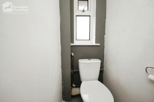 IMAGE 11