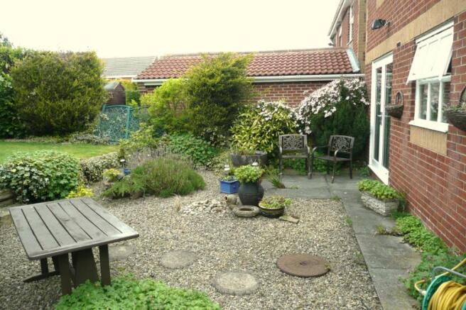 Patio Area