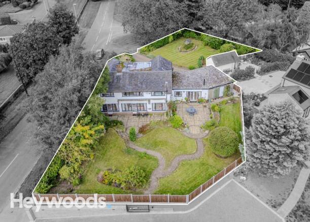 20240829-DJI_0542-Enhanced-SR - Copy