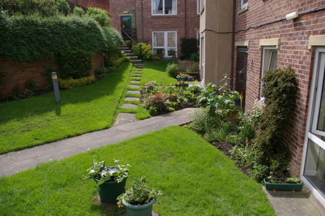 Photo 6