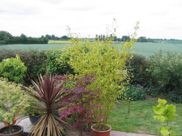 View from garden