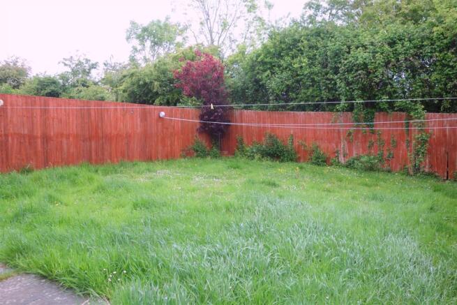 garden.JPG
