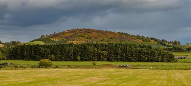 Countryside Views