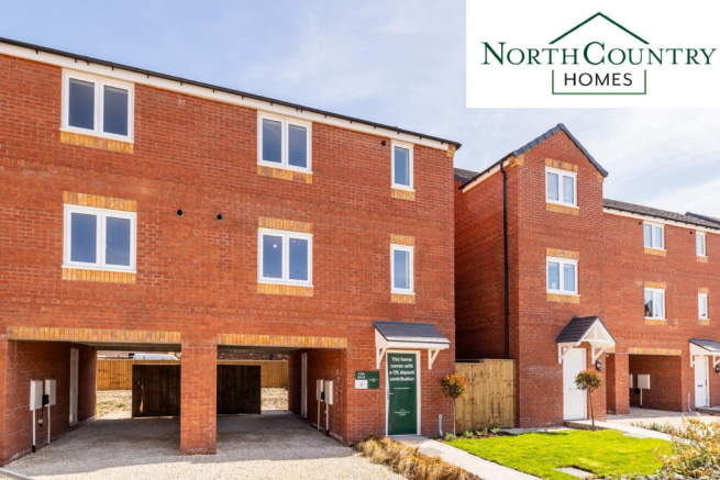 plot 24 The avocet.png