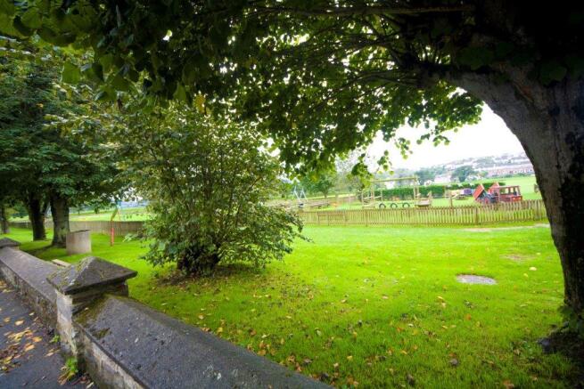 The Park!