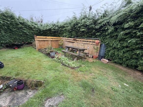 garden 2.jpeg