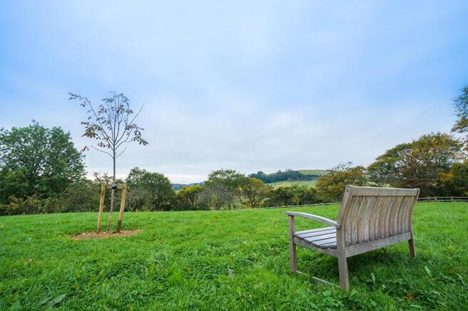 Countryside Views